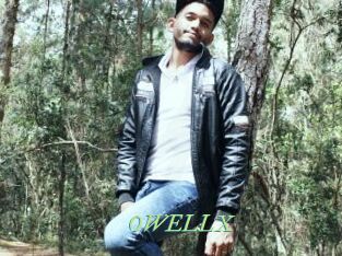 OWELLX