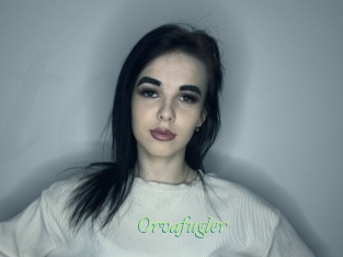 Orvafugler