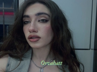 Orvahatt