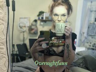 Overnightfaun