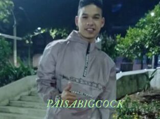 PAISABIGCOCK