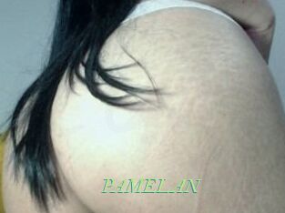 PAMELA_N