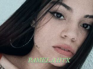 PAMELA_HTX