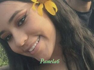 Pamela6