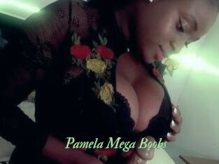 Pamela_Mega_Boobs