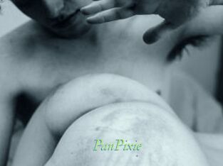 PanPixie