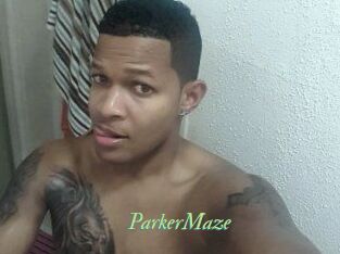 Parker_Maze