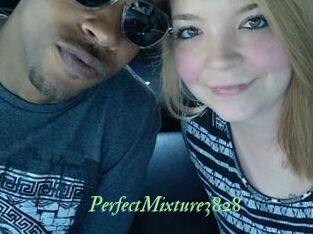 PerfectMixture3828