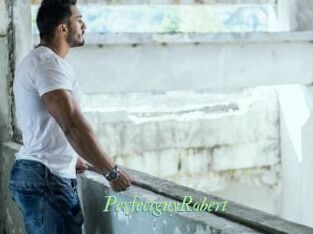 PerfectguyRobert