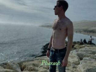 Pharaoh