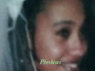 Pherbtoto