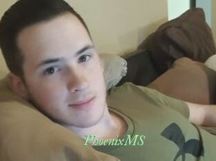 PhoenixMS