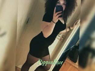 PippinRose