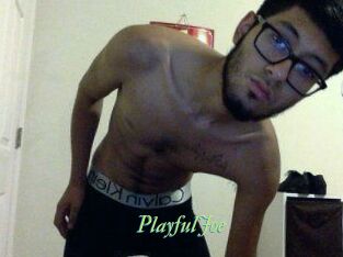 PlayfulJoe