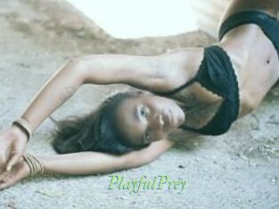PlayfulPrey