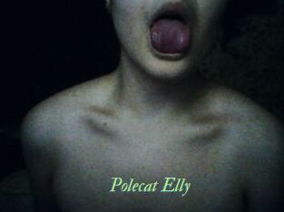 Polecat_Elly