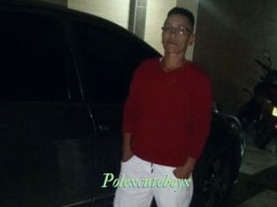 Polexcuteboyx