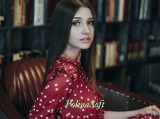 PolinaSoft