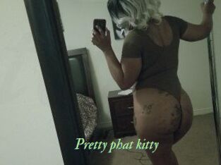 Pretty_phat_kitty