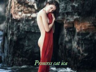 Princess_cat_ica
