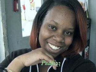 Pudd123
