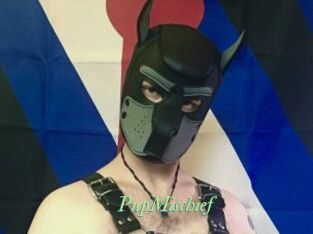 PupMischief