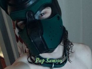 Pup_Samson