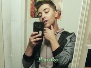 PvssyBoy
