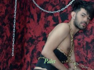 Palet