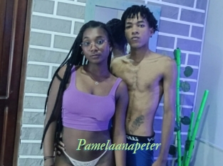 Pamelaanapeter