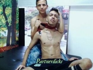 Partnerdicks