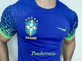 Paudurencia