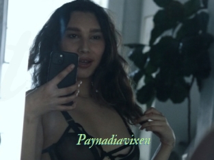 Paynadiavixen