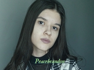 Peacebrandon