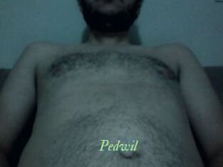 Pedwil