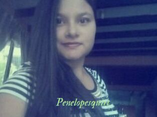 Penelopesquirt