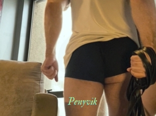 penyvik Tel Coquin