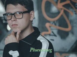 Phoenixzorg