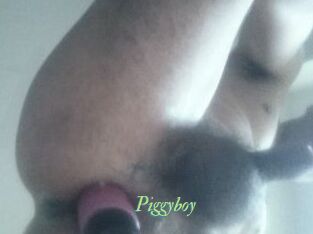 Piggyboy