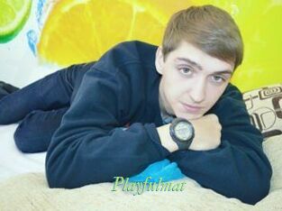 Playfulmat