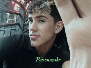 Poisonsnake