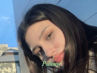 Pollimyr