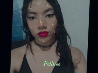 Pollitoo