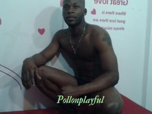 Pollonplayful