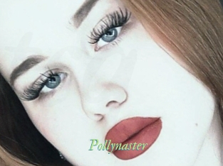 Pollynaster