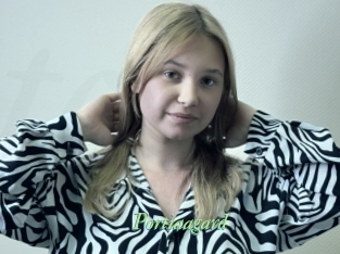 Portiaagard