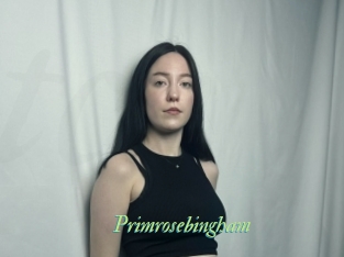 Primrosebingham