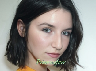 Primrosefurr