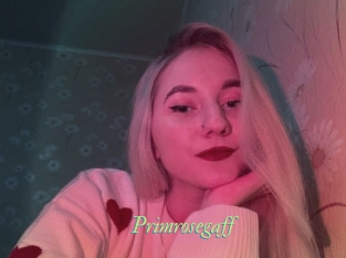 Primrosegaff