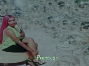 Princess23